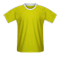 Brazil football jersey